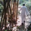 Fotos Kerala Nov-Dez 2011 teil 2 383.jpg